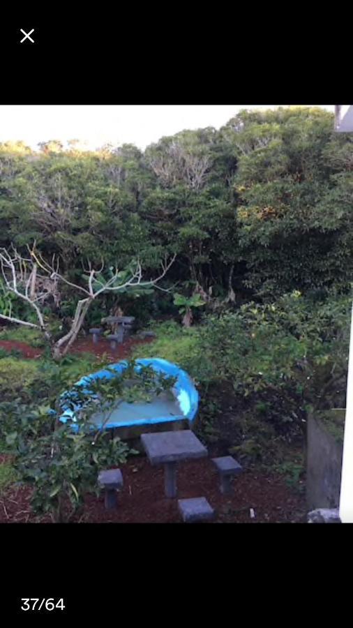 Adega Guest House Horta  Luaran gambar