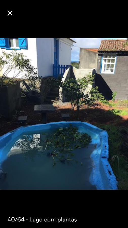 Adega Guest House Horta  Luaran gambar